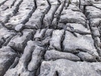 The Burren